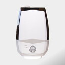 除菌ダ! 霧化器 605S 超音波式噴霧器「除菌消臭用」 プーキープロミストPK-605S