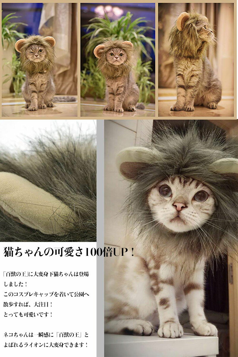 猫用帽子 ペット用帽子 犬猫用ウィッグ 猫コス...の紹介画像2