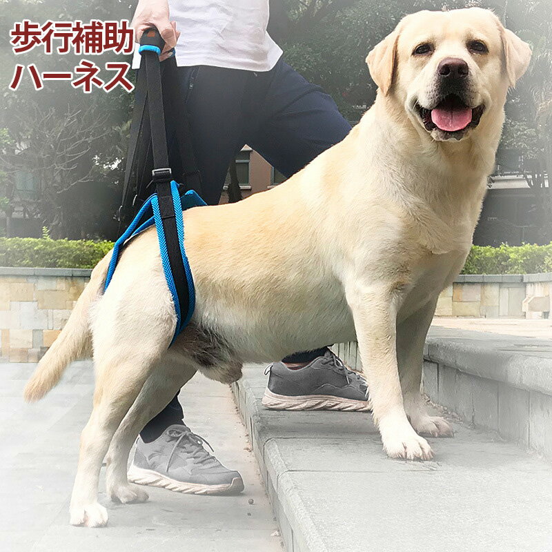 犬介護歩行補助ハーネスケアハーネスペット後足用歩行サポートメッシュS/M/L/XLサイズ老犬の介護介