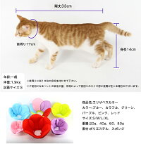 楽天市場 エリザベスカラー 猫用 犬用 ソフト やわらか 綿質 軽量 術後 柔らかい ヘルスケア 保護襟 傷舐め防止 噛む防止 術後ウェア 快適 調整可能 傷口保護 傷舐め防止 引っ掻き防止 介護 花びら 送料無料 Modanic 楽天市場 エリザベスカラー 猫用 犬用 ソフト やわらか 綿質 軽量 術後 柔らかい ヘルスケア 保護襟 傷舐め防止 噛む防止 術後ウェア 快適 調整可能 傷口保護 傷舐め防止 引っ掻き防止 介護 花びら 送料無料 Modanic