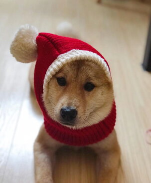 犬猫用コスプレ ペット 被り物 ペット帽子 ニット帽子 サンタクロース 猫 犬 クリスマス 秋冬 防寒 犬猫用ウィッグ 猫被り物 ペットコスプレキャップ 犬猫用帽子 可愛さ100倍 可愛いペット変身 ハロウイン