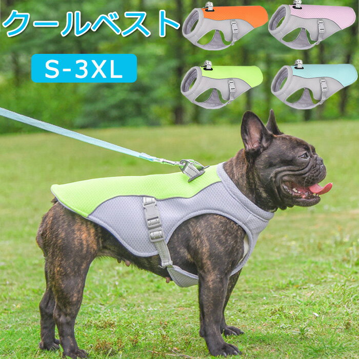 ٥  ǭ ڥå S3XL Ǯк Ҥ٥ ޥåơα 䴶  뤵к ڥå  ɥå...