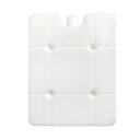 保冷ケース 850ml 氷ボックス アイスボックス 夏用 保冷剤付き