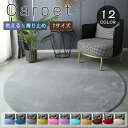 【4/6%OFFクーポン】ラグ 洗える ラグカーペット 円 丸 円形 直径60~200cm 北欧 滑り止め 無地 大判 絨毯 コーラルシャギー 丸い オールシー...