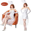 バニーガール うさ耳 レディース セクシー 仮装 バニー 制服 ハロウィン衣装 ミニワンピース コスプレ衣装 ウサギ うさぎ ミニ ワンピース ハロウィン コスチューム セクシー 大人 レディース 可愛い Halloween イベント ハロウィーン 変装