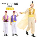 【10日限定10%OFFクーポン】ハロウィン 衣装 アラビアン コスプレ メンズ 男性用 大人 アラブ人 王子 プリンス イスラム 仮装 面白い コスチューム ...