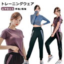 【25日限定10%OFFクーポン】トレーニングウェア レディース 上下セット 半袖/長袖 2点セット スポーツウェア 吸汗速乾 通気 ダイエット ジムウェア セ...