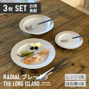 ラジアル プレート 3枚セット 単品よりお買い得 日本製 美濃焼 | 丸皿 パスタ皿 カレー皿 取り皿 おしゃれ 食器 カフェ風 モダン食器 シンプル 皿 お皿...