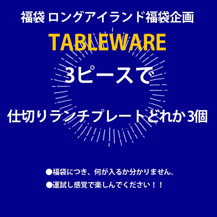 【新生活 新生活 福袋 ランチプレート 3個】食器 アウトレット セール sale 福袋 B品 キズ物 モーニング皿 ランチ プレートどれか 美濃焼 お得なセット おしゃれ 陶器 和食器 洋食器 中華器 日本製 ワゴンセール sdgs サステナブル