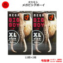 コンドーム メガビッグボーイ XLサイズ 12個入 2箱セット 大きいサイズ オカモト big large ビッグ ラージ サイズ コンドームセット こんどーむ 避妊具 スキン ゴム アダルトサック condom 宅配便 コンビニ ロッカー 郵便局 受取対応