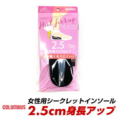 https://thumbnail.image.rakuten.co.jp/@0_mall/longpshoe/cabinet/columbus/2525-ladys-1.jpg