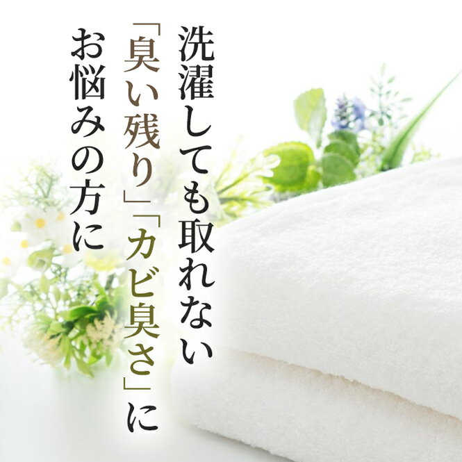 MENAGE NATURAL LIFE ��ʡ�����ʥ�����饤�� �� SEN ��������� �����奯�꡼�ʡ� ŷ���Ǻ� �ۥ��Ƥγ��� ���� ������ �� �������� �л��ˤ� ��ʡ����� �ݥ���Ⱦò� �� ������ �� ������ ´�ȼ�