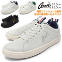 スニーカー レディース ジュニア コートシューズ コートスニーカー 軽量 ローカット ブランド アーニーアーノルドパーマー arnie arnold palmer 白 ホワイト 黒 ブラック 男の子 女の子 通学 軽い 靴 22.5cm 23cm 23.5cm 24cm 24.5cm 25.0cm【サマーセール】