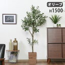 フェイクグリーン オリーブ 幅750×奥行550×高さ1500mm アートグリーン 人工観葉植物 観葉植物 造花 木 店舗 施設 カフェ オフィス 癒し おしゃ...