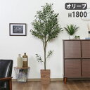 フェイクグリーン オリーブ 幅600×奥行600×高さ1800mm アートグリーン 人工観葉植物 観葉植物 造花 木 店舗 施設 カフェ オフィス 癒し おしゃ...