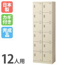 【最大1万円クーポン5/9-15】 シューズロッカー 12人用 2列6段 コインリターン錠 網棚付き コインロッカー 鍵付き 日本製 完成品 下駄箱 シューズボックス 玄関収納 靴入れ 靴収納 SLB-212-R(3)