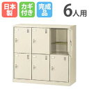 6人用シューズロッカー 3列2段 シリンダー錠 SLC-DM6 シューズボックス シューズロッカー ロッカー シューズラック 下駄箱 靴箱 シンプル 収納 奥深 SLC-DM6-S2
