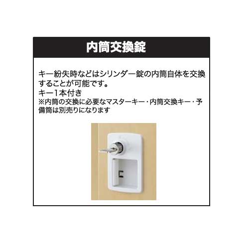ロッカー 3人用 内筒交換錠 木目扉 更衣ロッカー スチールロッカー オフィスロッカー クローゼット 更衣室 オフィス家具 学校 会社 企業 事務所 日本製 SLBL-3-T [3]