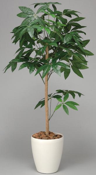 バキラ 【P5倍5/15 13-15時&最大1万円クーポン5/9~16】 パキラ 観葉植物 120cm インテリア 玄関 緑 送料無料 C4007-150