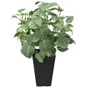 フィットニアS 2A5101-60 造花 観葉植物 ギフト用