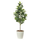 【P5倍10/15 13-15時&最大1万円クーポン10/14-17】 マネーツリー 光の楽園 115cm 光触媒 造花 フェイクグリーン インテリア ギフト ...