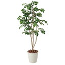 【P5倍7/30 13-15時&最大1万円クーポン7/30】 マウンテンアッシュ 人工植物 歯医者 人気 送料無料 424A240-28