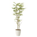 ゴールデンリーフ 160cm 幅55×奥行55×高さ160cm 人工観葉植物 光触媒 鉢植えタイプ 造花 インテリアグリーン 人工植物 インテリア小物 605A...