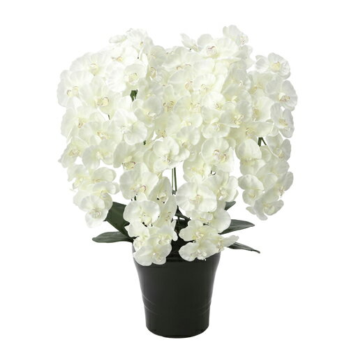 【P5倍11/15 13-15時&最大1万円クーポン11/14-16】 胡蝶蘭 7本立 幅55×奥行50×高さ75cm 人工植物 光触媒 造花 インテリアグリーン お祝い 贈呈用 贈り物 インテリア 装飾 お花 658A300-71