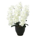 胡蝶蘭 幅45×奥行40×高さ68cm 人工植物 光触媒 造花 インテリアグリーン お祝い 贈呈用 贈り物 インテリア 装飾 お花 659A150-72