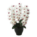 胡蝶蘭 幅45×奥行40×高さ68cm 人工植物 光触媒 造花 インテリアグリーン お祝い 贈呈用 贈り物 インテリア 装飾 お花 661A150-72