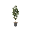 パンの木 160cm 幅50×奥行45×高さ160cm 人工観葉植物 光触媒 鉢植えタイプ 造花 インテリアグリーン 人工植物 インテリア小物 815A390-...