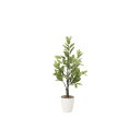 レモン 100cm 幅43×奥行43×高さ100cm 人工観葉植物 光触媒 鉢植えタイプ 造花 インテリアグリーン 人工植物 インテリア小物 818A180-4...