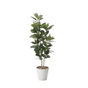 ゴムの木 160cm 幅58×奥行50×高さ160cm 人工観葉植物 光触媒 鉢植えタイプ 造花 インテリアグリーン 人工植物 インテリア小物 824A390-...