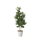 カシワバゴム 160cm 幅65×奥行60×高さ160cm 人工観葉植物 光触媒 鉢植えタイプ 造花 インテリアグリーン 人工植物 インテリア小物 825A46...