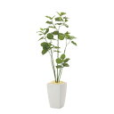アーバンブランチウンベラータ 180cm 幅65×奥行60×高さ180cm 人工観葉植物 光触媒 鉢植えタイプ 造花 インテリアグリーン 人工植物 943A78...