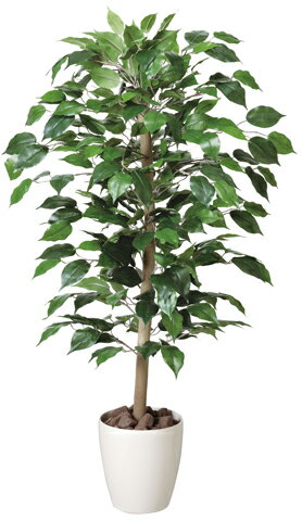 【最大1万円クーポン11/14-16】 【送料無料】 ベンジャミン 光触媒 消臭 ロビー 観賞用 EE4503-150