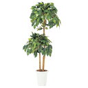 【法人限定】 ベンジャミン 観葉植物 人工 グリーン 環境 贈り物 G-B ルキット オフィス家具 インテリア