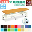 【最大1万円クーポン5/23-26】 【法人限定】 電動昇降台 マッサージベッド ベッド 昇降台 施術台 診察台 電動式 高さ調節 病院 医療施設 介護施設 指圧 キャスター付 抗菌 防汚 日本製 TB-751(4)