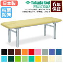 【最大1万円クーポン7/19-25】 【法人限定】 施術台 マッサージベッド 診察ベッド エステ ベッド 無孔タイプ 診察台 病院 診療所 医療施設 介護施設 接骨院 指圧 整体 抗菌 防汚 日本製 TB-125