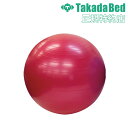 【法人送料無料】 バランスボール 直径55cm 健康器具 ダイエット器具 フィットネス器具 ストレッチ器具 体幹トレーニング エクササイズ 運動 体操 TB-1...