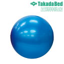 【法人送料無料】 バランスボール 直径65cm 健康器具 ダイエット器具 フィットネス器具 ストレッチ器具 体幹トレーニング エクササイズ 運動 体操 TB-1...