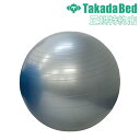 【法人送料無料】 バランスボール 直径75cm 健康器具 ダイエット器具 フィットネス器具 ストレッチ器具 体幹トレーニング エクササイズ 運動 体操 TB-1...