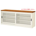 【法人限定】 ガラス引戸書庫 BER-ST11(N) 2列3段 A4 資料 学校 LOOKIT オフィス家具 インテリア