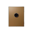 【7%OFFクーポン配布中】フロントパネル BEYOND プレミアム金庫 36L用 ビヨンド ドアパネル オプション カスタマイズ 防盗金庫 セキュリティ 防犯金庫 BY500FP