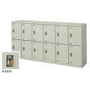 【最大1万円クーポン5/9-15】 12人用ロッカー 南京錠 会社 更衣室 SL1809N-12 ルキット オフィス家具 インテリア