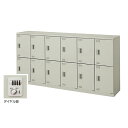 【最大1万円クーポン5/9-15】 12人用ロッカー ダイヤル錠 保管庫 SL1809D-12 ルキット オフィス家具 インテリア