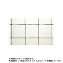 【P5倍5/10 13-15時&最大1万円クーポン5/9-15】 一般用サッカーゴールネット 2枚セット 角目10cm 白 ホワイト ゴールネット サッカーゴー...