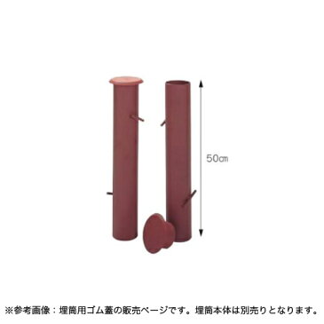 埋筒用ゴム蓋 埋筒76.3mm用蓋 テニス用品 テニスコート コート整備 校庭 スポーツ施設 運動施設 教育施設 テニススクール 備品 設備 小物 S-9293