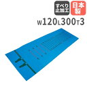 【SS限定P5倍6/10 13-15時&最大1万円クーポン6/3-10】 【法人限定】 立ち幅跳び測定マット 陸上競技 マット 測定マット 体育用品 教育施設 ...