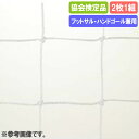 【P5倍5/10 13-15時&最大1万円クーポン5/9-15】 ゴールネット 三和体育 検定品 サッカーゴール ゴール ゴールポスト サッカーネット ネット ...